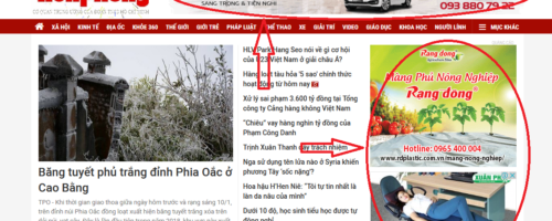 Quảng cáo trên báo Tiền Phong
